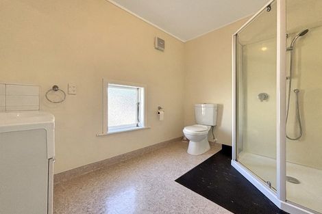 Photo of property in 17 Hankey Street, Mount Cook, Wellington, 6011