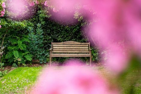 Photo of property in 22 Brookfield Street, Hamilton East, Hamilton, 3216