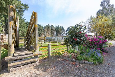 Photo of property in 56 Upper Manaia Road, Upper Plain, Masterton, 5888