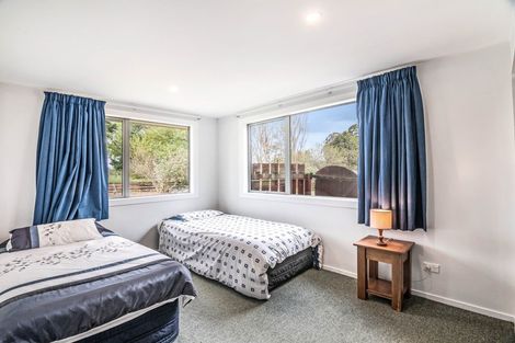 Photo of property in 413 Clyde-alexandra Road, Alexandra, 9391