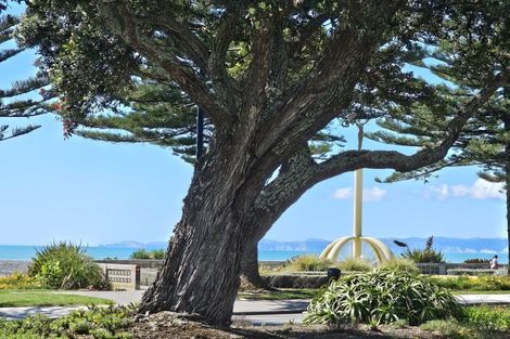 Photo of property in 541a Marine Parade, Napier South, Napier, 4110