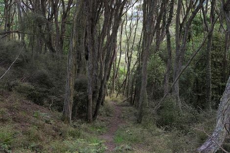 Photo of property in 405 Saddle Hill Road, Scroggs Hill, Dunedin, 9076