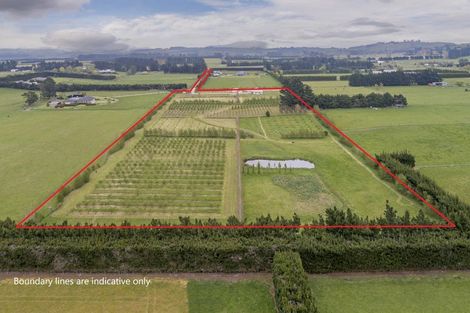 Photo of property in 120 Davis Road, Cust, Rangiora, 7471