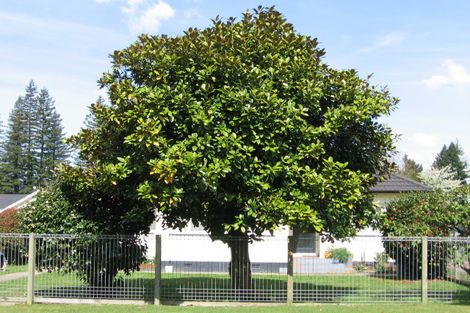 Photo of property in 24 Shirley Street, Mangakakahi, Rotorua, 3015