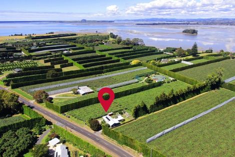 Photo of property in 186 Beach Road, Katikati, 3178