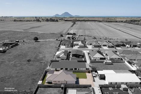 Photo of property in 12 Kotare Drive, Coastlands, Whakatane, 3120