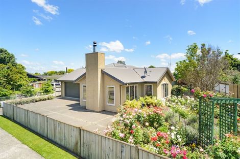 Photo of property in 207 Salisbury Street, Ashhurst, 4810