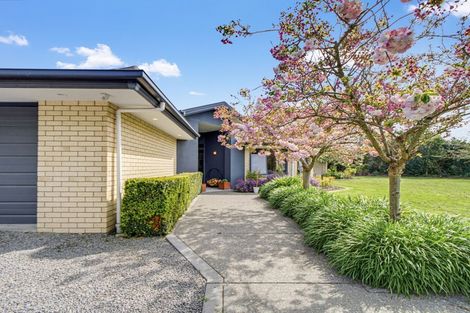 Photo of property in 5 Newton Place, Amberley, 7410