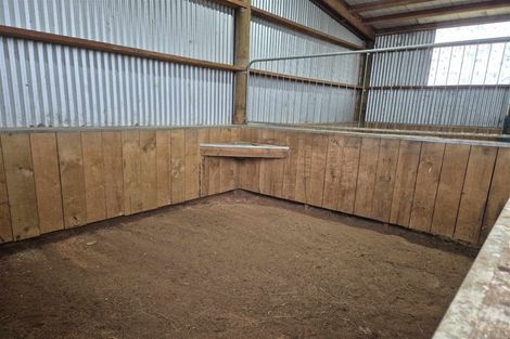 Photo of property in 656a Ryal Bush-wallacetown Road, Wallacetown, Invercargill, 9874