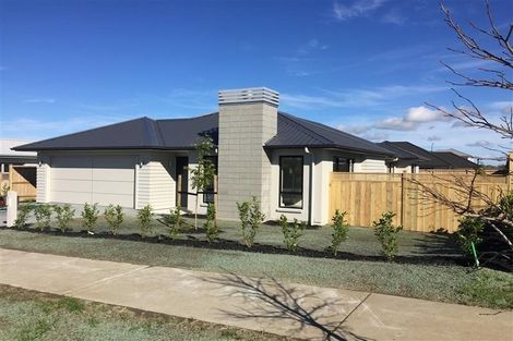 Photo of property in 8 Gelderland Way, Karaka, Papakura, 2113