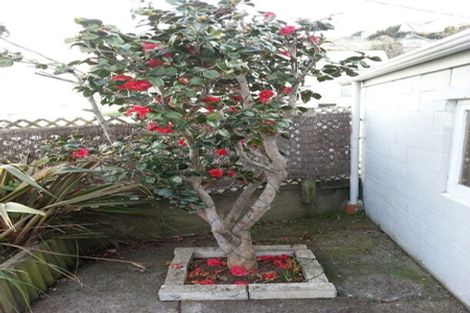 Photo of property in 4/14 Arlington Street, Mount Cook, Wellington, 6011