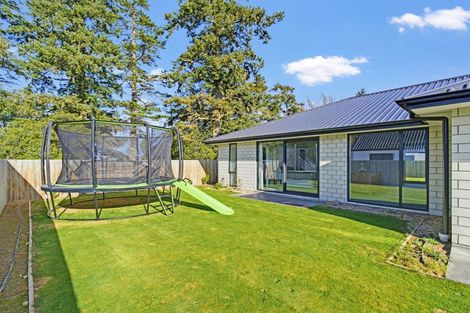 Photo of property in 3 Jag Way, Tinwald, Ashburton, 7700