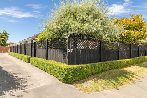 Photo of property in 37 Branston Street, Hornby, Christchurch, 8042