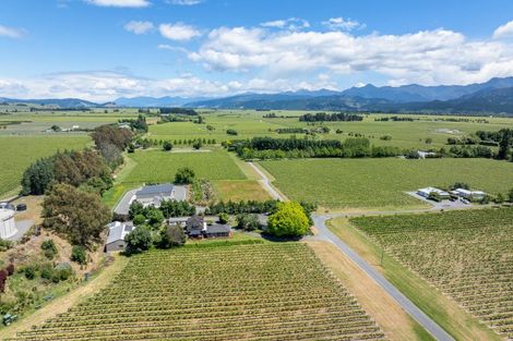 Photo of property in 19 Terrace Road, Renwick, 7204