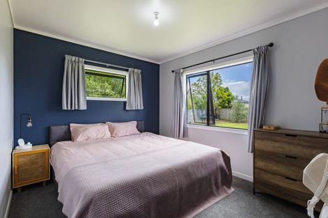 Photo of property in 9a Shanly Street, Waipawa, 4210