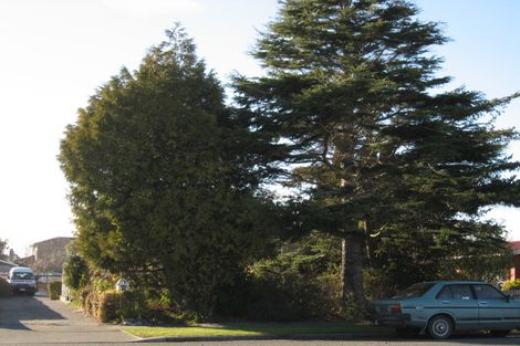 Photo of property in 332 Cranford Street, St Albans, Christchurch, 8052