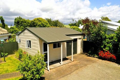 Photo of property in 35 Hannan Street, Levin, 5510
