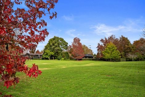 Photo of property in 36 Robinson Road, Coatesville, Albany, 0793