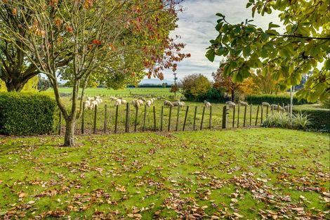 Photo of property in 549 Middle Road, Poukawa, Hastings, 4172