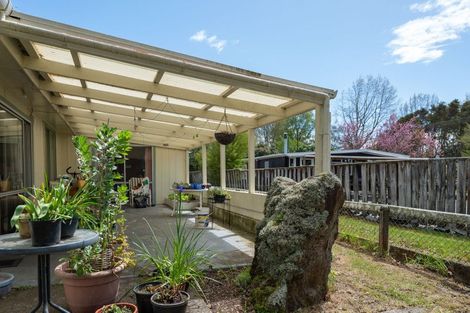 Photo of property in 211 Taupahi Road, Turangi, 3334