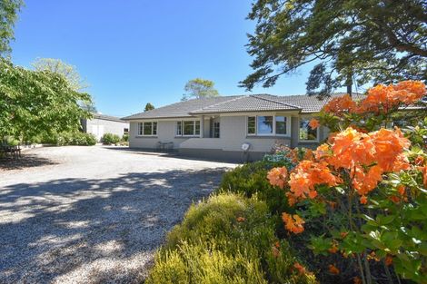 Photo of property in 22 Saddleview Place, Fairfield, Dunedin, 9018