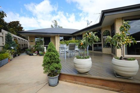 Photo of property in 299a Scott Street, Witherlea, Blenheim, 7201