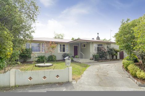 Photo of property in 12 Tawa Street, Palmerston North, 4414
