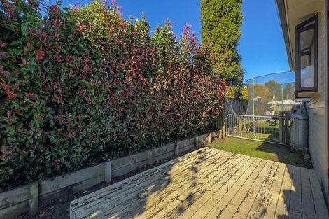 Photo of property in 16 Goodwin Street, Tirau, 3410