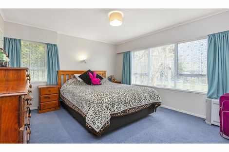Photo of property in 33 Hanna Street, Te Aroha, 3320