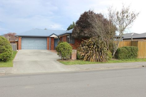 Photo of property in 22 Parkinson Place, Woodend, 7610