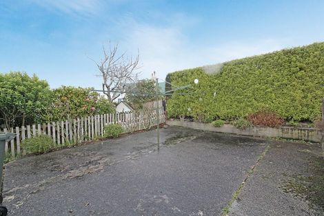 Photo of property in 15b Fifield Street, Roslyn, Dunedin, 9010