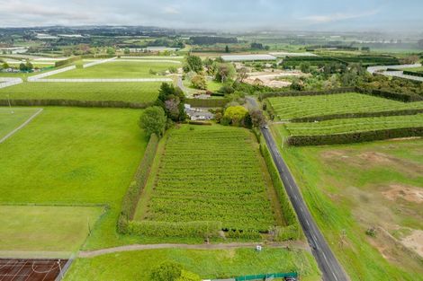 Photo of property in 29 Lemon Road, Paengaroa, Te Puke, 3189