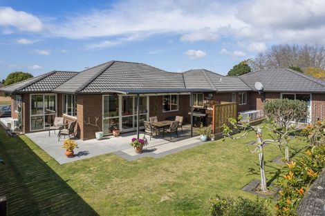 Photo of property in 20 Hoggard Place, Katikati, 3129