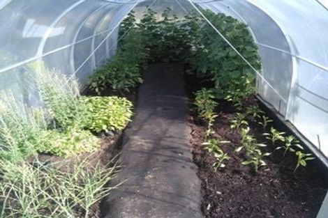 Photo of property in 372 Lindsay Calcium Road, Isla Bank, Otautau, 9683