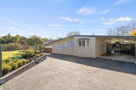 Photo of property in 47 Tutaenui Road, Marton, 4710