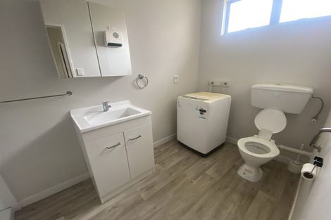 Photo of property in 306 Ulster Street, Whitiora, Hamilton, 3200