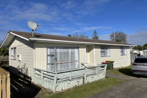 Photo of property in 163 Galloway Street, Hamilton East, Hamilton, 3216