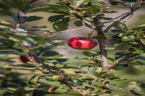 Photo of property in 73 Kotuku Drive, Paraparaumu Beach, Paraparaumu, 5032