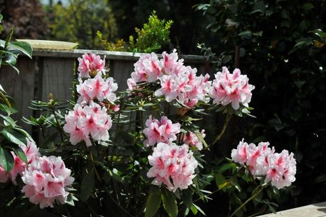 Photo of property in 222a Rifle Range Road, Tauhara, Taupo, 3330