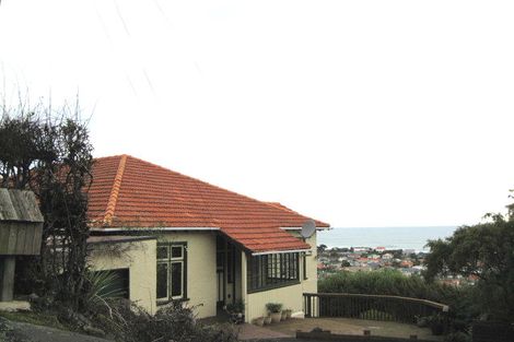 Photo of property in 17 Coney Hill Road, Saint Clair, Dunedin, 9012