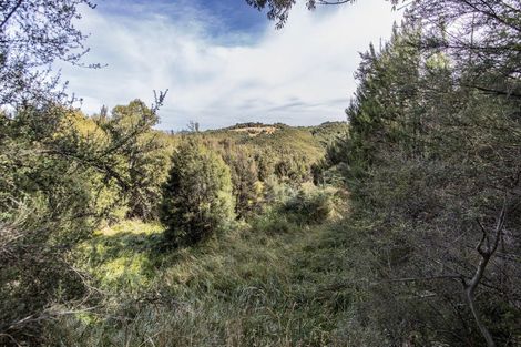 Photo of property in 253 Mount Lyford Forest Drive, Lyford, Waiau, 7395