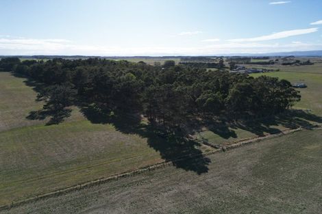 Photo of property in 270 Motuiti Road, Foxton, 4891