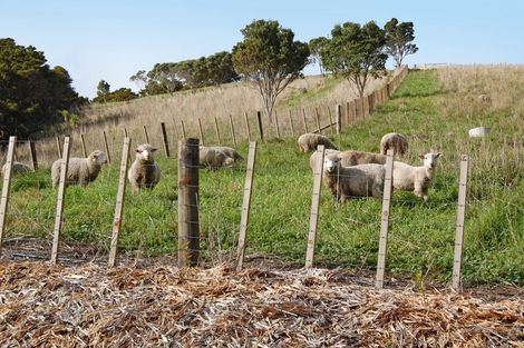 Photo of property in 598a Oneriri Road, Kaiwaka, 0573