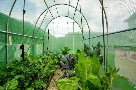 Photo of property in 315 Chelmsford Street, Waverley, Invercargill, 9810