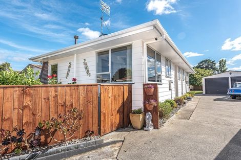 Photo of property in 38 Hereford Street, Springvale, Whanganui, 4501