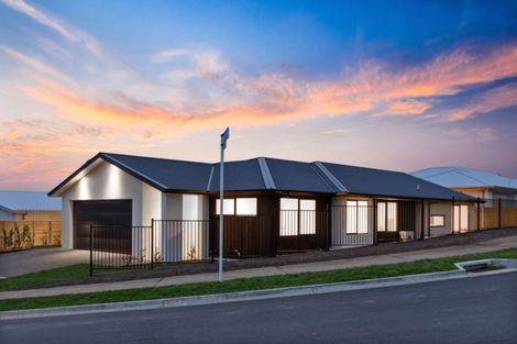 Photo of property in 80 Whakaturou Crescent, Pyes Pa, Tauranga, 3112