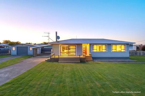 Photo of property in 17 Montgomery Street, Waipukurau, 4200
