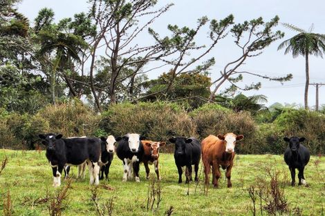 Photo of property in 350 Bedford Road, Kaimiro, Inglewood, 4386