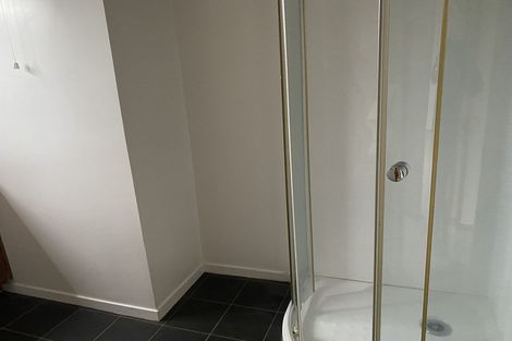 Photo of property in 54b Claude Street, Fairfield, Hamilton, 3214