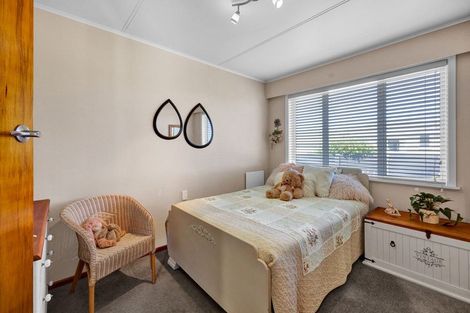 Photo of property in 48 Fantham Street, Hawera, 4610